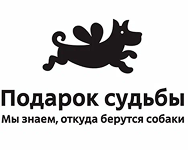 помощь собакам